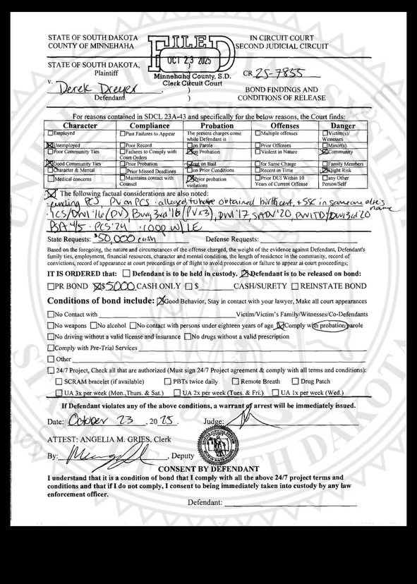 South Dakota eCourts record showing Identity Theft charges against Derek Daniel Dreyer