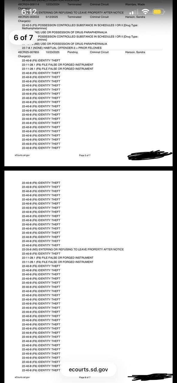 South Dakota eCourts record showing Identity Theft charges against Derek Daniel Dreyer