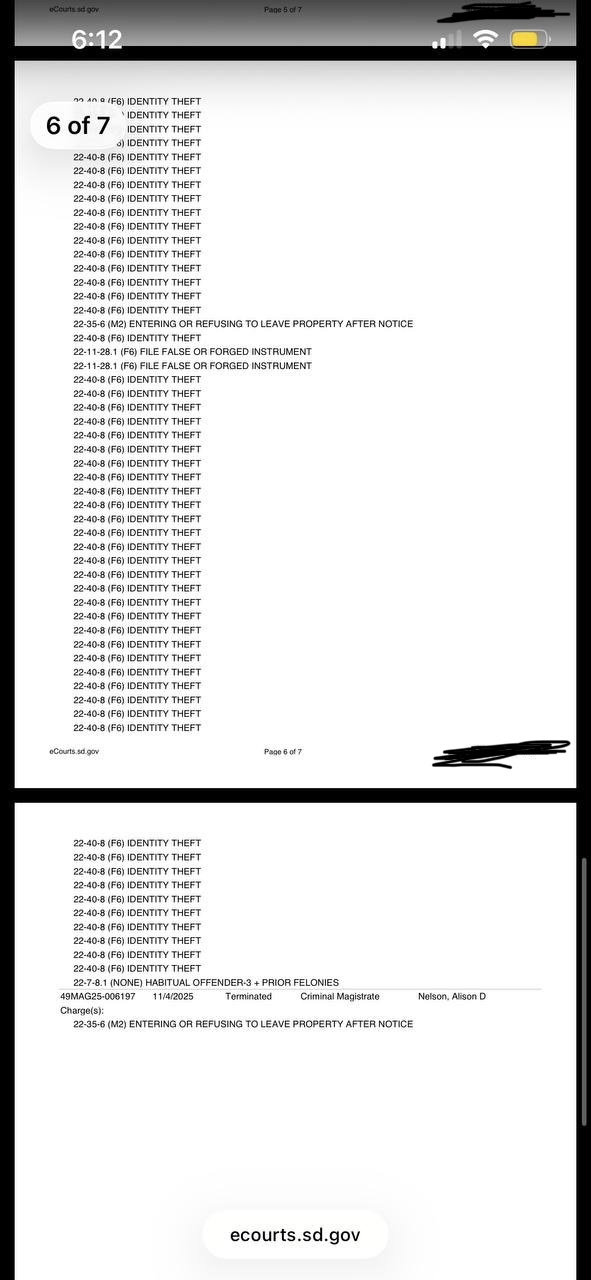 South Dakota eCourts record showing Identity Theft charges against Derek Daniel Dreyer
