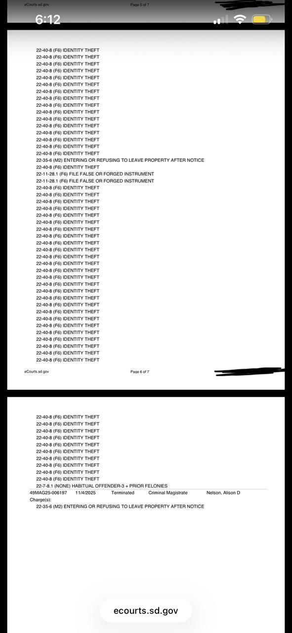 South Dakota eCourts record showing Identity Theft charges against Derek Daniel Dreyer